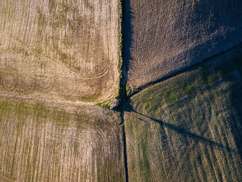 High angle view of field