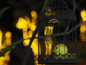 Close-up of yellow lamp