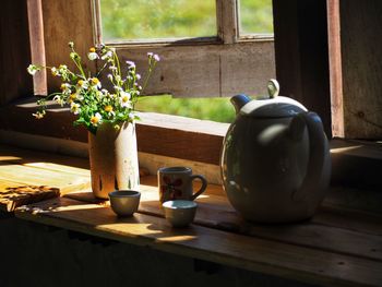 Potted plant on table