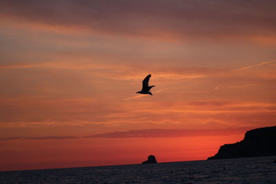 Silhouette bird flying over sea against orange sky