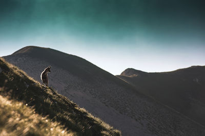 Scenic view of mountain range against sky