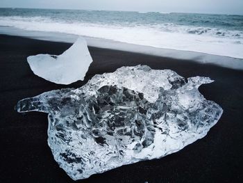 Scenic view of sea shore