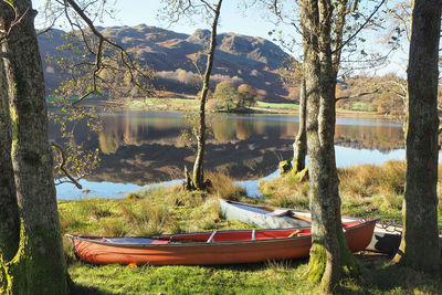 Scenic view of lake by trees