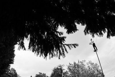 Low angle view of silhouette trees against sky