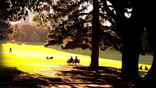 Woman in park