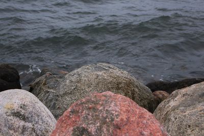 Close-up of sea shore