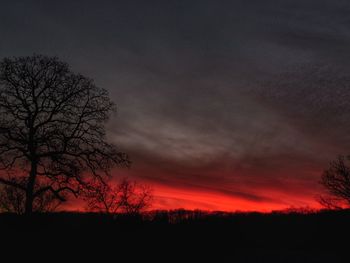 Silhouette bare trees against sky at sunset