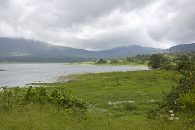 Scenic view of field against sky