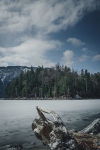 Scenic view of river against sky