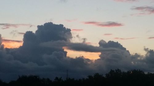 Low angle view of silhouette trees against sky