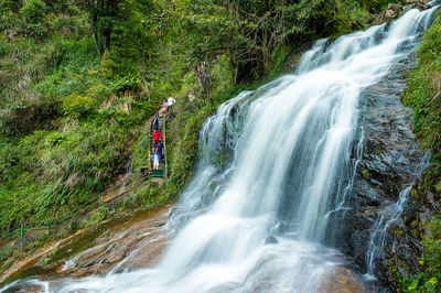 Waterfall in forest