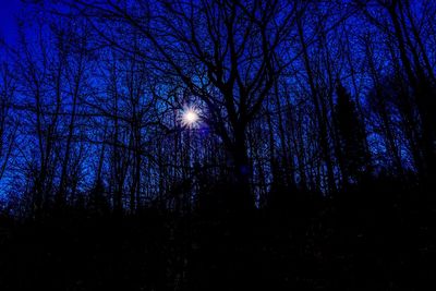 Low angle view of silhouette trees against sky at night