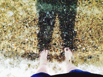 Low section of people standing in water