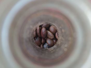 High angle view of coffee beans in jar