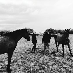 Man standing with horses on field against sky