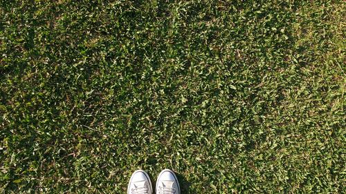 Low section of man standing on grass