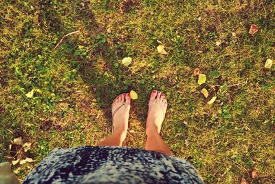 Low section of woman standing on grass