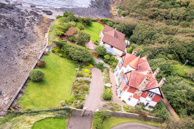 High angle view of trees and houses in village