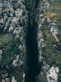 Scenic view of waterfall