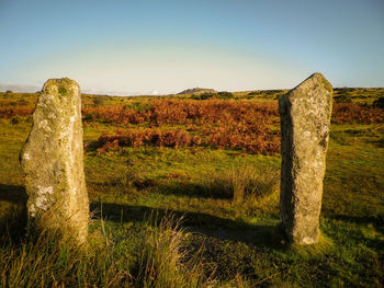 Scenic view of field against clear sky