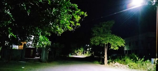 Street amidst trees and plants in city at night