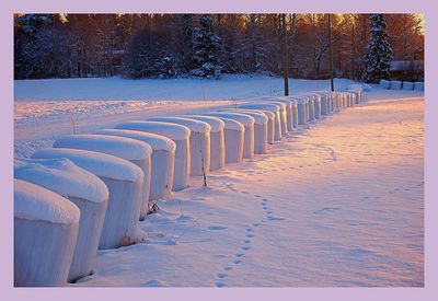 Snow covered landscape