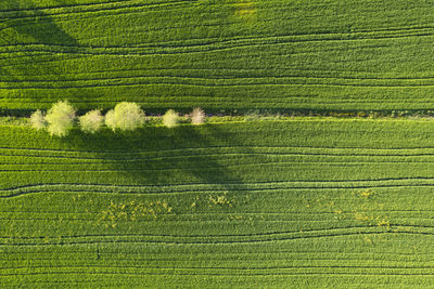 High angle view of soccer field