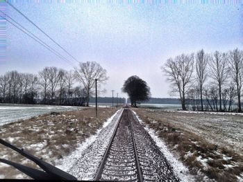 Bare trees on snow covered landscape