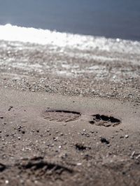 Surface level of pebbles at beach