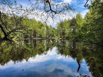 Reflection of trees in lake against sky