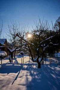 Bare trees on snow covered field against sky