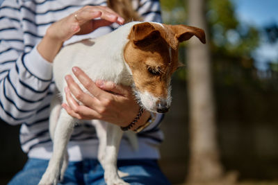 Woman is stroking dog. female owner is spending time together with pet outdoors