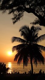 Silhouette palm tree on beach against sky during sunset