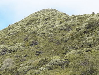 Low angle view of mountain against sky