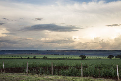 Scenic view of field against sky during sunset