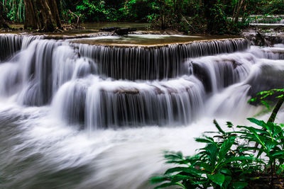 Scenic view of waterfall in forest