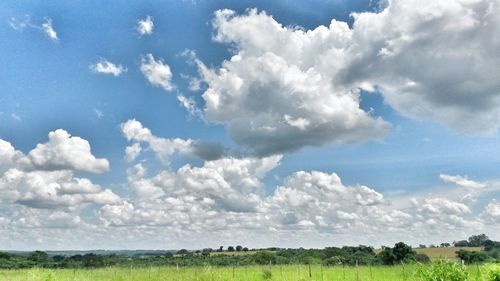 Scenic view of field against sky