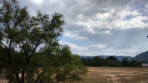 Trees on landscape against sky