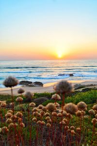 Scenic view of sea against sky during sunset