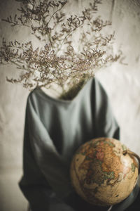 Close-up of person holding leaf