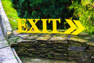 Close-up of yellow sign against trees