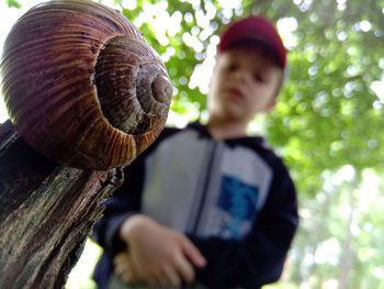 Low angle view of boy looking at snail on wood