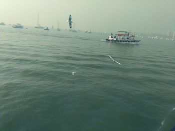 High angle view of man swimming in sea