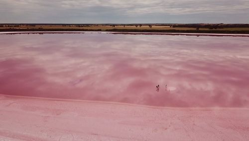 Scenic view of pink lake mirrored by the sky