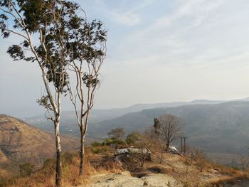 Tree on landscape against sky