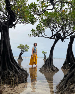 Rear view of woman standing on rock