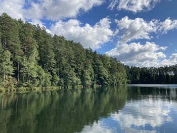 Scenic view of lake by trees against sky