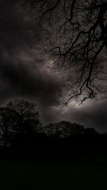 Silhouette of bare trees against cloudy sky