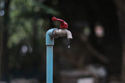 Close-up of water faucet against blurred background