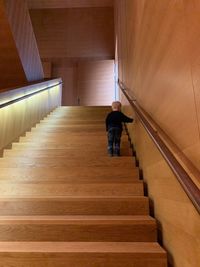 Rear view of man walking on staircase